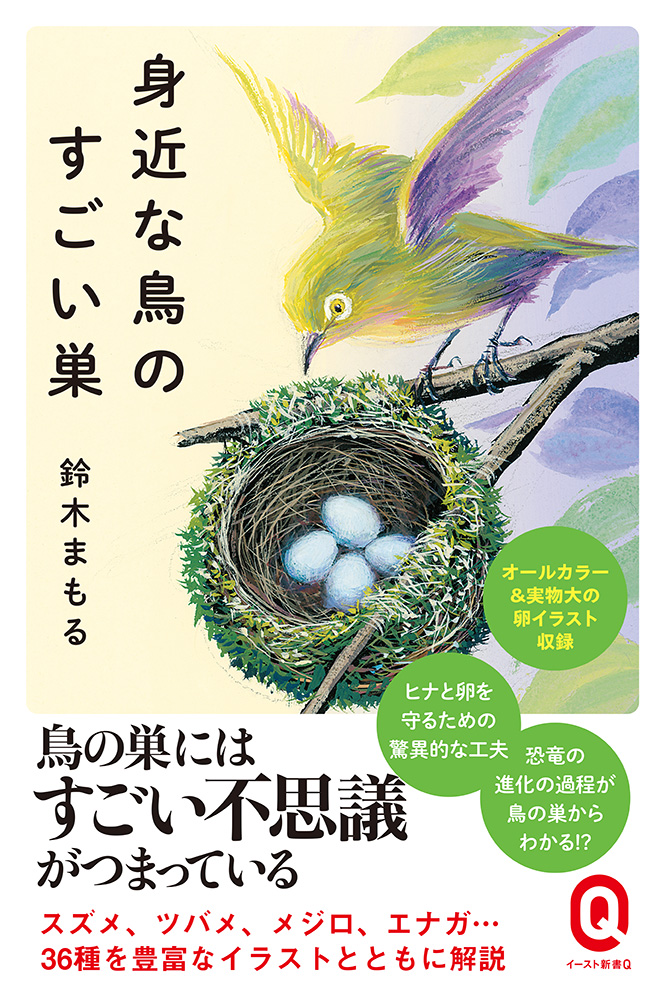 書籍詳細 - 身近な鳥のすごい巣｜イースト・プレス