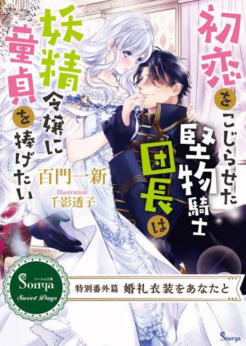 初恋をこじらせた堅物騎士団長は妖精令嬢に童貞を捧げたい　～特別番外編 婚礼衣装をあなたと～