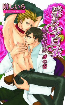 淫らな白衣　～色道秘伝書　赤の巻～