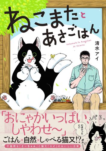 ねこぱんださま ねこぱんださま 御猫様（おねこさま）立体図鑑第２弾 （40個入り）