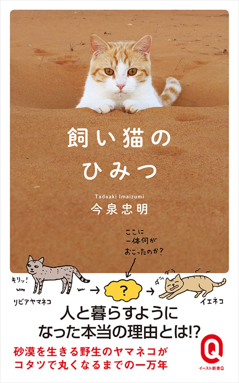 書籍詳細 飼い猫のひみつ イースト プレス