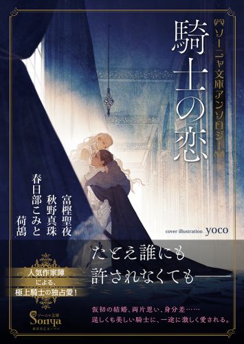 TL小説 文庫本 まとめ売り　100円商品　ソーニャ文庫　アンソロジー TL小説 文庫本 まとめ売り 100円商品 ソーニャ文庫 アンソロジー
