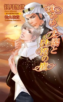 沈みゆく太陽と砂漠の鷹